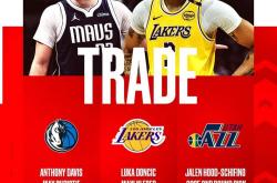 半岛体育vip注册-独行侠主帅突然宣布辞职，球队陷入内部危机